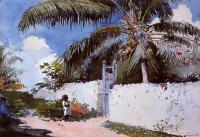 Homer, Winslow - A Garden in Nassau